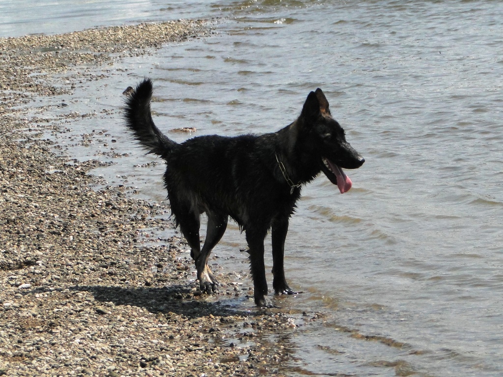 dsc02305
