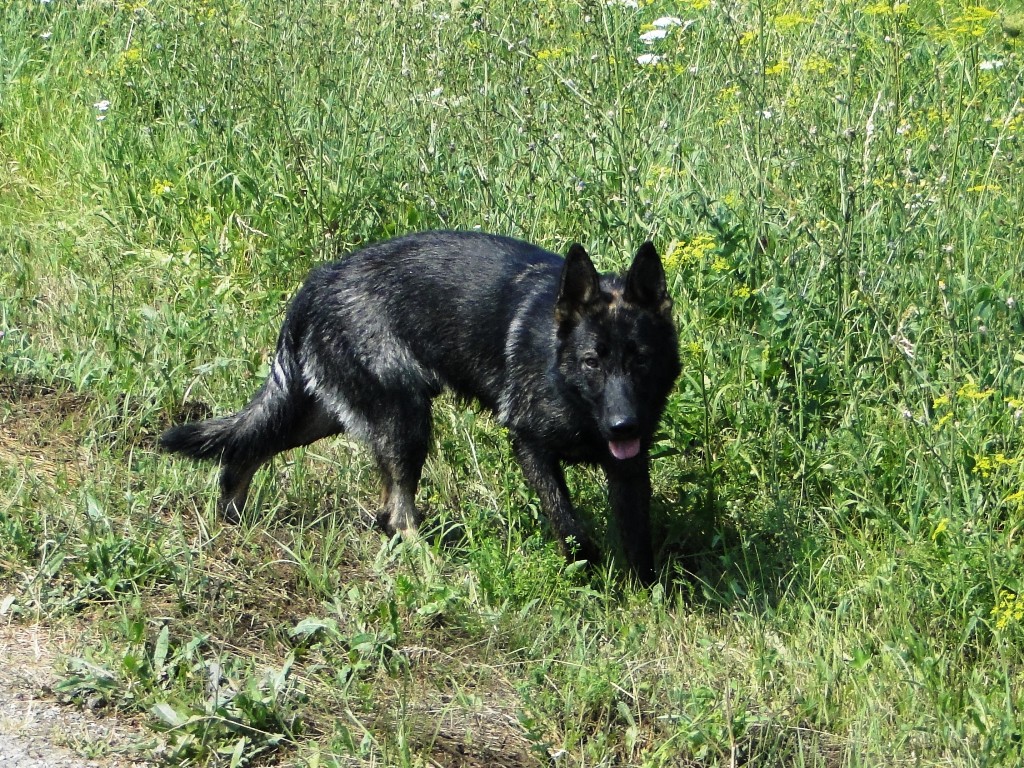 dsc02332