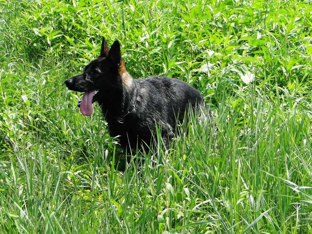 dsc02334