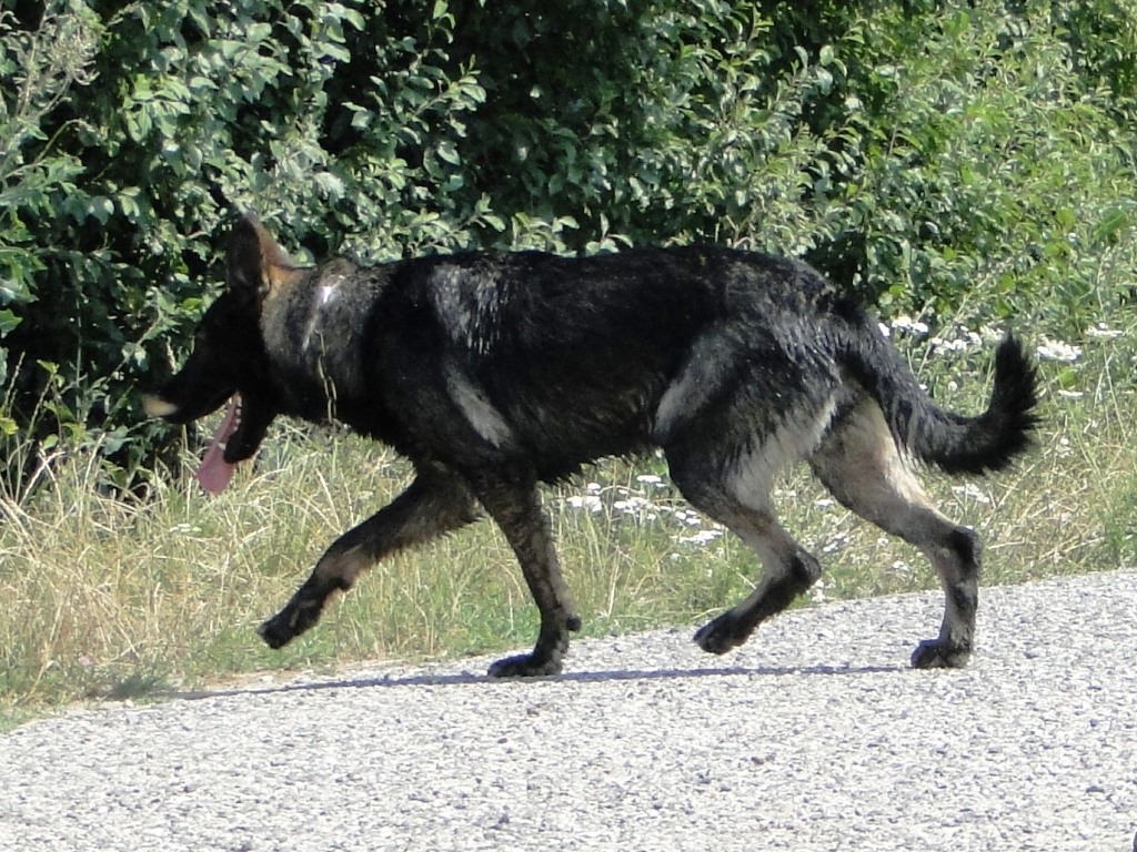 dsc02335