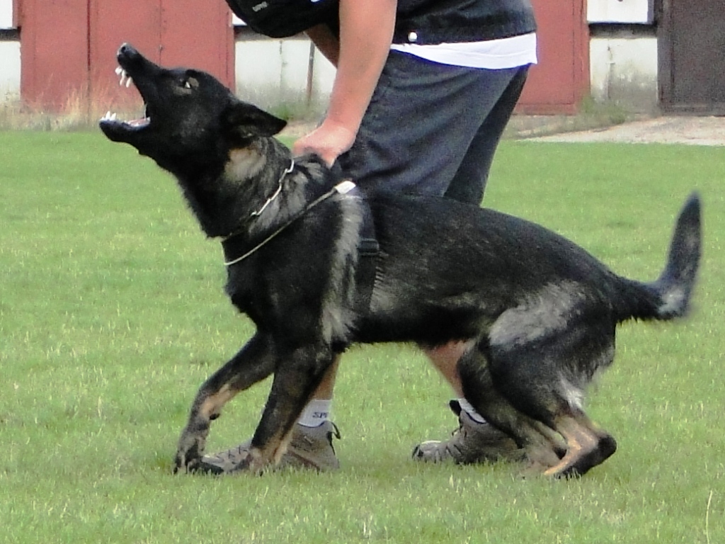 dsc029301