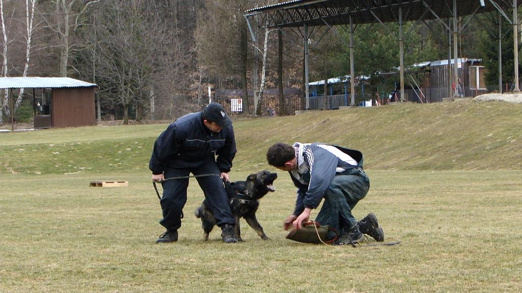 DSC00009.jpg