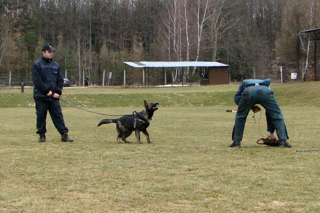 DSC00028.jpg