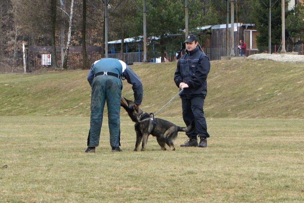 DSC00063.jpg